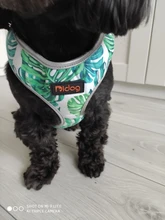 Breathable French Bulldog Harness Printed Reflective Dogs Harness Puppy Small Medium