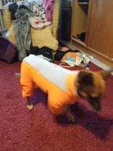 Winter Overalls for Dogs Warm Waterproof Pet Jumpsuit Trousers Male/ Female Dog Reflective