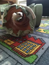 Hamster Tunnel Tube Accessory Hedgehog-Toy Guinea-Pigs Animals Collapsible Small 