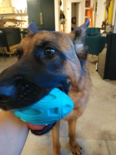Dog Toys Rubber Rugby | Dog Bite-Resistant Rubber Rugby photo review