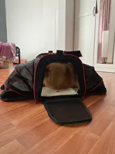 Pet-Carrier Expandable Kennel Airline-Approved Soft Crate Travel Two-Side Luggage on