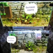 Bright-Clip-Lamp Led-Light Aquarium Plants Fish-Tank Blue Waterproof Super-Slim 220v