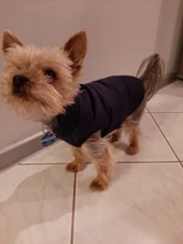 Abrigo de invierno para mascotas, ropa cálida para perros pequeños, abrigo de Navidad para perros grandes, chihuahua