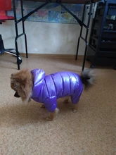 Coats Jumpsuits Overalls Yorkie-Clothing Puppy Dog-Jacket Pet-Dog Small Dogs Waterproof