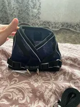 Arnés para gato de malla de nailon, chaleco reflectante para perro, conjunto de arnés y correa para Chihuahua, Pug, correa de plomo pequeña y mediana para caminar