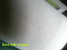 Milofi-papel tapiz pintado a mano para sala de estar, Mural de mono, Toucan del sudeste asiático, papel pintado 3d personalizado