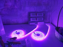 RGBW 5050 Led-Light Flexible DC12V 300leds 5m/Lot