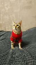 Dog Sweater Coat Clothing Cat-Costume Pet Christmas Halloween for Small Deer Warm