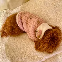 Sweater Puppy-Hoodie Dog-Jumper Winter Knited Small Cat with Cartoon-Design Warm Apparel