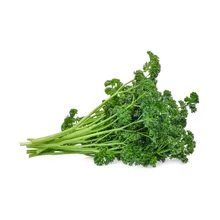 SeedsUnited Kıvırcık Maydonoz tohumu 300+ tohum