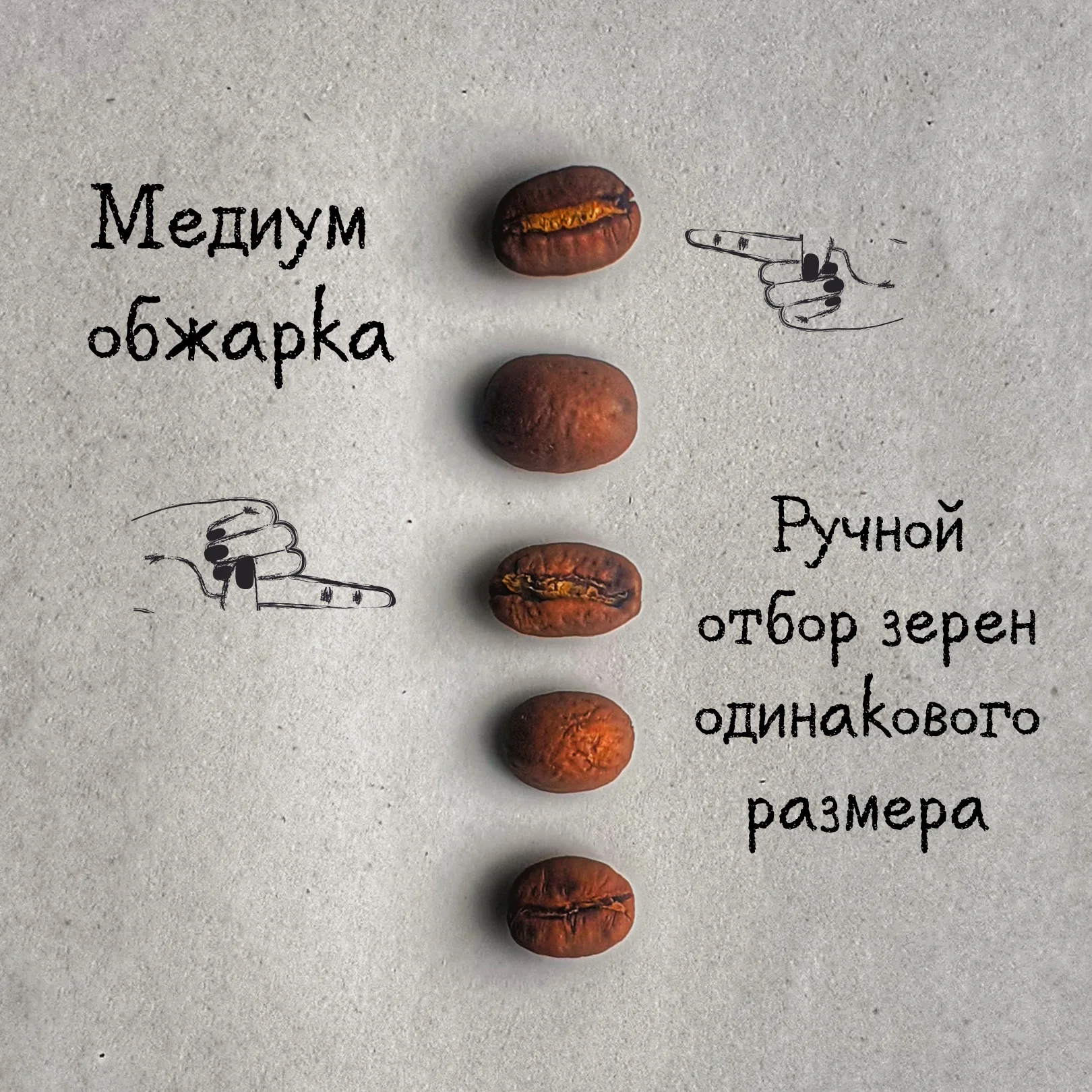 Coffee beans ITD Nicaragua special arabica Matagalpa 100%, 1 kg medium roasting grain coffee machine Turk capsules ground