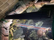 Led-Lamp Dimmer Fish-Tank-Light Aquarium Sunrise Sunset Marine Automatic Full-Spectrum