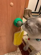 Natural Catnip Toys For Cats Crazy Healthy Cat Toys For Kitten Edible Treating Cleaning