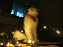 Light-String Decoration Garland Courtyard-Lamp Christmas-Lights Fairy LED Bedroom Garden