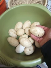 Pegatinas de Miyazaki Hayao Anime de 50/100 Uds., pegatinas de dibujos animados para bicicleta, portátil, libro, equipaje, juguetes para niños