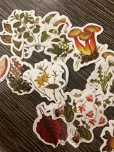 46 unids/caja Retro serie de bosques planta de decoración pegatinas planificador Scrapbooking papelería coreana pegatinas diario