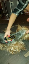 Dog-Clipper Cutter Grooming Hair-Trimmer Dogs-Hair-Machine Professional Pet-Dog Animals