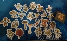 46 unids/caja Retro serie de bosques planta de decoración pegatinas planificador Scrapbooking papelería coreana pegatinas diario