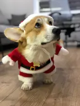 Christmas Pet Dog Cat Costumes Funny Santa Claus Costume For Dogs Cats Winter Warm Dog