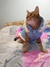 Dog Cat Winter Warm Coat Jacket Dress Pet Puppy Hoodie Winter Warm Clothes Apperal