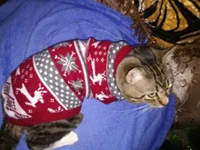 Pet Cat Reindeer Sweater Winter Warm Cat Clothes for Cats Kedi Outfit katten Clothing
