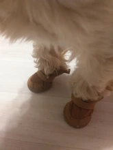 Warm Pet Dog Cat Winter Shoes For Dogs Non-slip Dog Snow Boots Chihuahua Shih Tzu Shoe