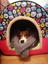 Cama para mascota cálida desmontable para invierno, caseta para dormir de perro, nido de gato suave para gatito y cachorro, cueva cómoda, diseño de lazo, lavado a mano