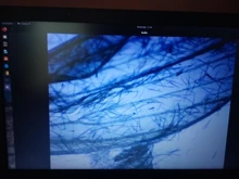 Microscope-Camera Trinocular Digital Electronic-Eyepiece CMOS 5MP USB HD for Free-Driver