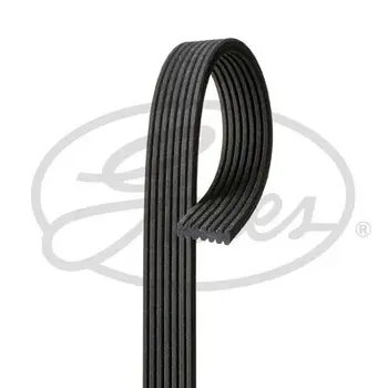 

Belt n/a wedge. MB Sprinter 08 GATES 7DPK2425