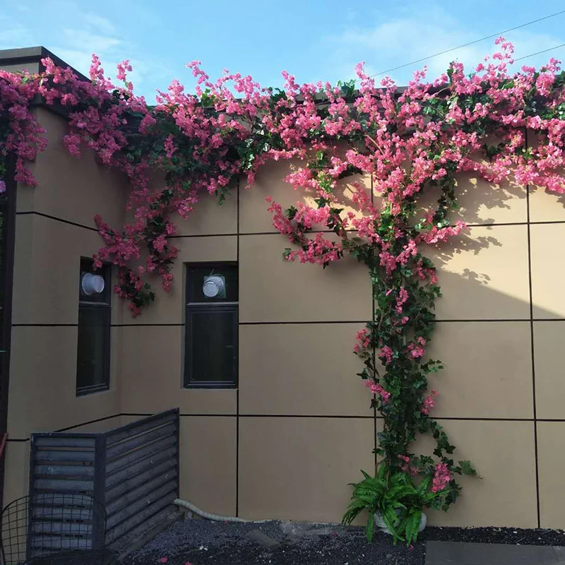 Bougainvillea Trellis Wall