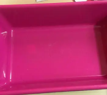 

Sandbox high tray of cats