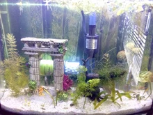 SPONGE-FILTER Submersible Mini with Water-Pump