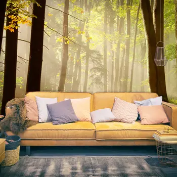 

Wall mural-Mysterious forest path - 350x270 cm