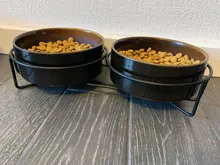 Drinking-Dish-Feeder Raised-Stand Dog-Bowl Feeding-Accessories Puppy Water-Dish Pet-Food