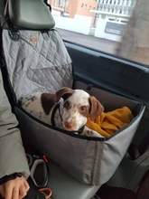 Funda de asiento de nailon 900D impermeable para mascotas, tapete de transporte al aire libre, accesorios de viaje para coche, bolsa para perro