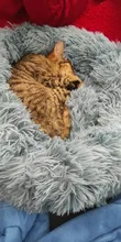 Cama de Gato supersuave, 14 colores, redonda, mullidas de gato, cesta para dormir, larga felpa, cálida, alfombrilla para mascotas, perrera ligera de tacto cómodo