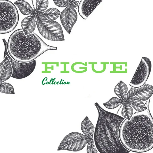 Figue Collection Store
