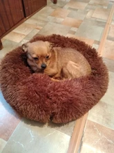 Sofa-Basket House-Beds Cat-Bed Dog-Kennel Deep-Sleeping-Bag Dogs Washable Small Large