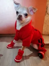 Jumpsuit Clothing Hoodies Jacket Pet-Dog-Coats Small Dogs Sport Apparel Winter Fashion