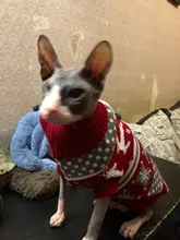 Pet Cat Reindeer Sweater Winter Warm Cat Clothes for Cats Kedi Outfit katten Clothing