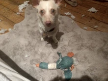 Dog-Toys Puppy Squeak Chew-Cleaning Plush Pet-Resistance Cat Cartoon Cloth Linen 33cm