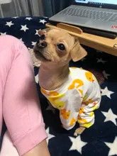Dogs-Pajamas Clothing Shirt Puppy-Jumpsuit Pomeranian Chihuahua Dog-Coat Pet-Dogs Small