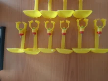 Bebedero para aves de corral y pollos, tazas colgantes, bebedero automático para pollos, Bola de tubos, pezón, suministros de alimentación para aves de corral, 10 Uds.