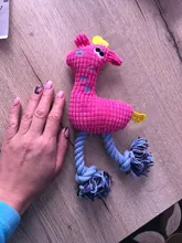 Dog-Toys Dog-Accessories Dogs-Train Bite-Resistant Sounding New Molars Corn-Fawn Fluffy