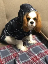 Pet Dog Winter Coat Small Dog Clothes Warm Dog Jacket Puppy Outfit Dog Coat Chihuahua