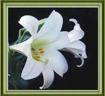 

1114 mosaic, 50*46 cm