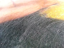 Milofi-papel tapiz pintado a mano para sala de estar, Mural de mono, Toucan del sudeste asiático, papel pintado 3d personalizado