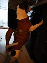 Jacket Vest Puppy-Clothing Pug-Coat Small Dogs Chihuahua Waterproof Winter Teddy Pet-Dog