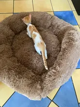 Cat Bed Bench Pet-Bed Chihuahua Kennel Dog-House Large-Mat Round Plush Long for Big Super-Soft