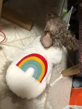 Costume Puppy-Clothes Love-Rainbow-Vest PETCIRCLE Pet-Cat Dog Winter New Fit And Four-Color